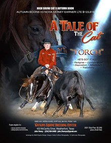 A Tale Of The Cat