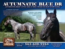 AUTUMNATIC BLUE DR 