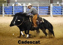 CADESCAT