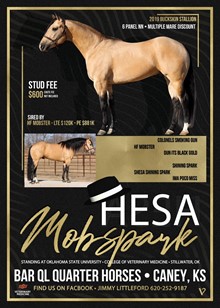 HESA MOBSPARK