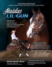 HAIDAS LIL GUN 
