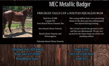 MEC Metallic Badger