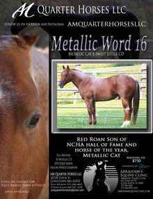 METALLIC WORD 16