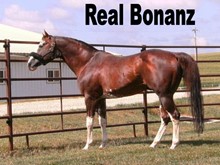 REAL BONANZ