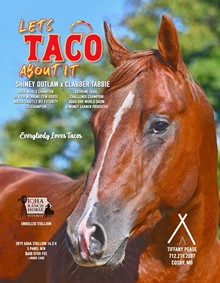 LETS TACO ABOUT IT