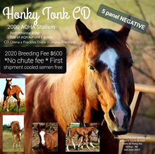 Honky Tonk CD