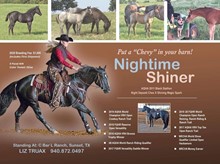 NIGHTIME SHINER