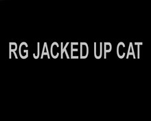 RG JACKED UP CAT