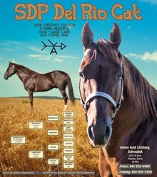 SDP DEL RIO CAT