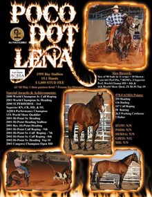 Poco Dot Lena