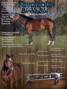 Favorable Birdie Blu
