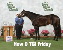HOW D TGI FRIDAY 