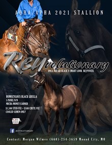 REYVOLUTIONARY