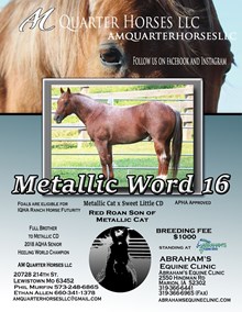 METALLIC WORD 16