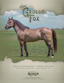 ROJOS GRULLO FOX