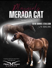 PLAYGIRLS MERADA CAT