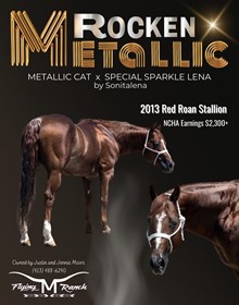 ROCKEN METALLIC