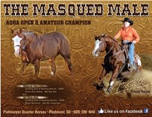 THE MASQUED MALE