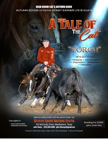 A TALE OF THE CAT