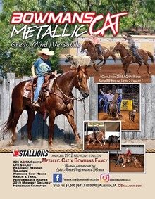 BOWMANS METALLIC CAT