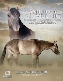 GENUINE SILVERNIC