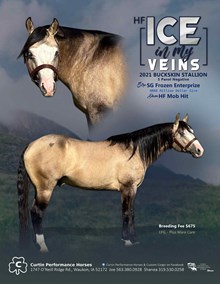 HF ICEINMYVEINS