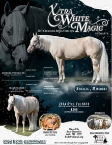 XTRA WHITE MAGIC