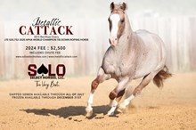 Metallic Cattack