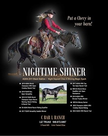 NIGHTIME SHINER