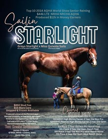 SAILIN STARLIGHT