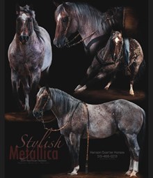 STYLISH METALLICA